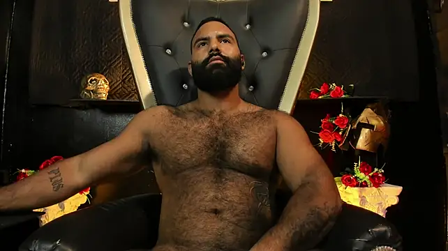 BeardAndrew Show Webcam