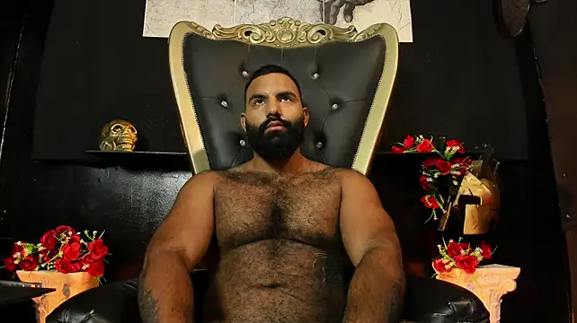 BeardAndrew's Webcam Show