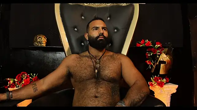 BeardAndrew – Kamerová šou