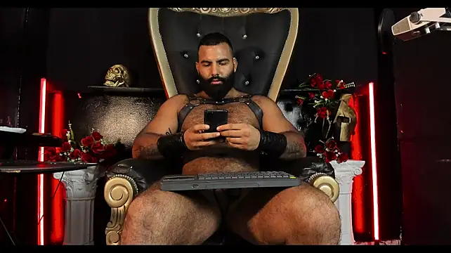 BeardAndrewn Webbikameraesitys