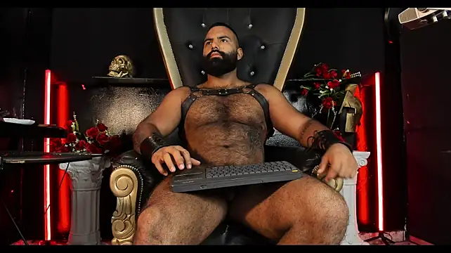 BeardAndrew's Webcam Show