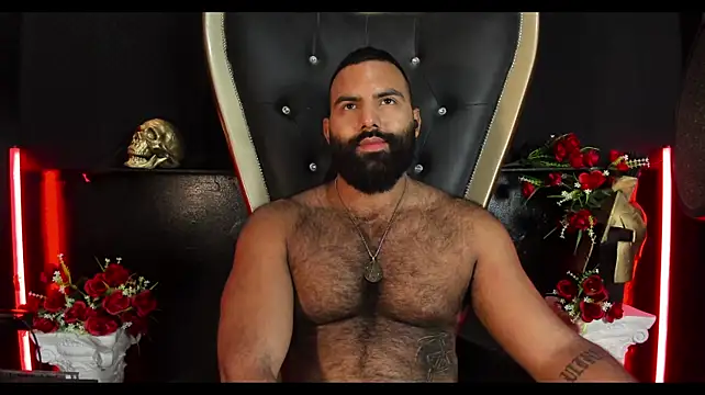 Вебкам-шоу BeardAndrew