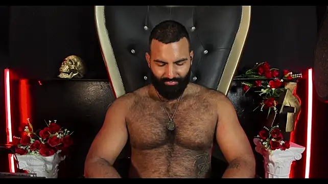 Show webcam de BeardAndrew