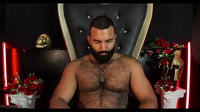 BeardAndrewのウェブカメラショー