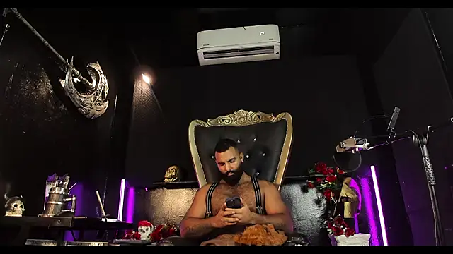 Show modela BeardAndrew na web-kameri