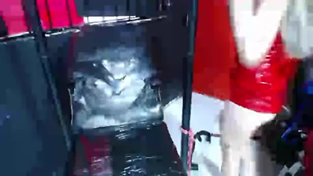 Master_rudeboy webkamerás műsora