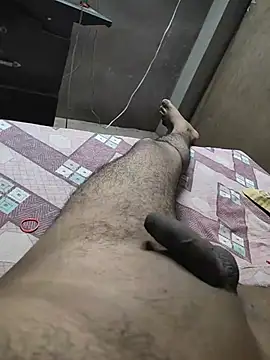Ansh731989n Webbikameraesitys
