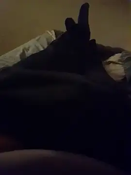 Flymeto16 Show Webcam