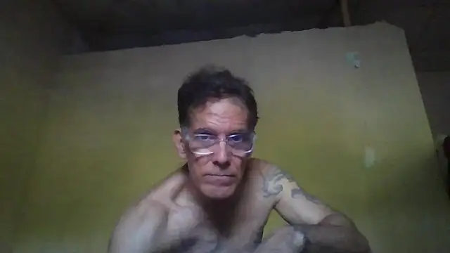 הופעת וובקאם של CaptainFox