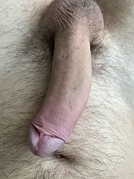 Aotearoa2 Webcam show