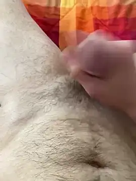 Show webcam de Aotearoa2