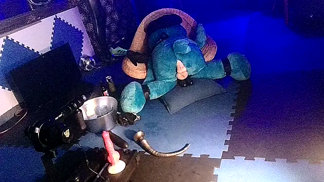 Show webcam de thingsbums