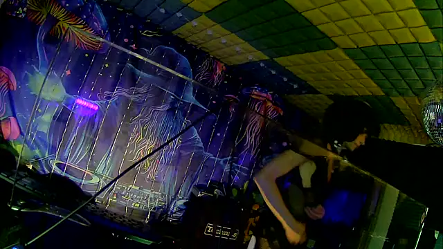 Show Webcam de thingsbums