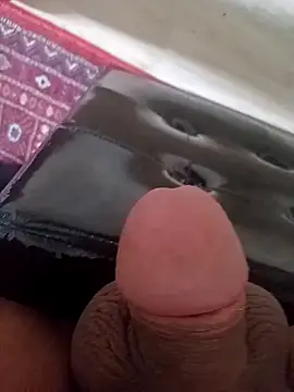 Pertunjukan Kamera Web arouane