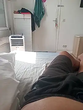 arouanen Webbikameraesitys