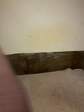 leonluxe লাইভ XXX চ্যাট