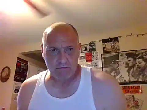 Webkamerová show Gerbil8823