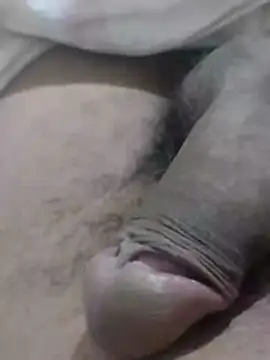 Show de webcam de dheck2020