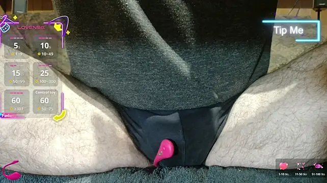 Show webcam de dudu7219