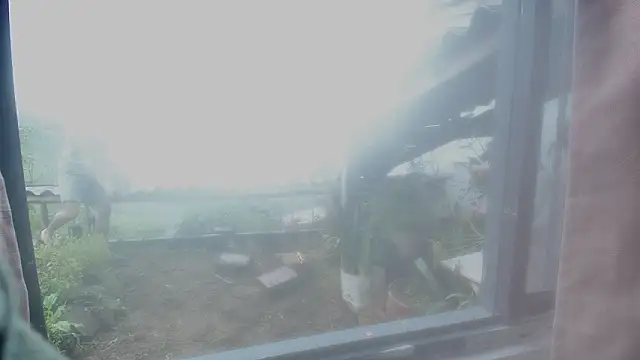 JONAS_SMITH_ webcam show