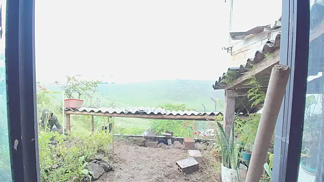 Show Webcam de JONAS_SMITH_