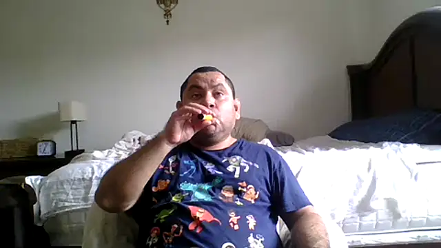 Show webcam de Hammyric786