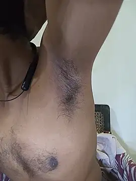Show de SL-Robinsan na webcam
