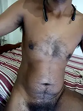 Show modela SL-Robinsan na web-kameri