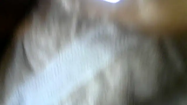 RickDaDickDickerson's Webcam Show