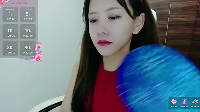 Show de N_Hibiki na webcam