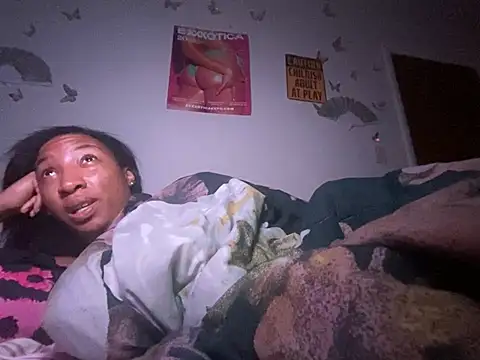 Show webcam de LeBimbo