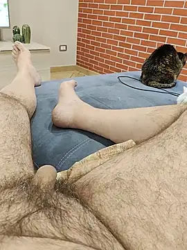Show webcam de orsettoCum