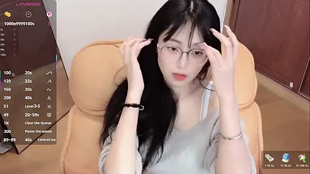 Nice2C- Show Webcam