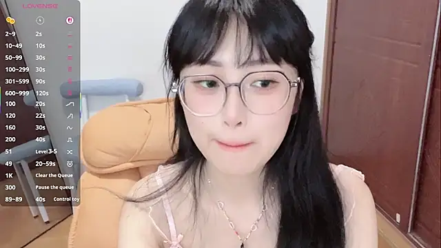 Nice2C- Show Webcam