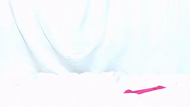 Chleonan Webbikameraesitys