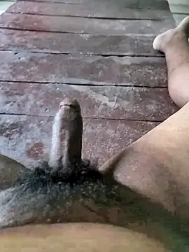 Pertunjukan Kamera Web rodhathor