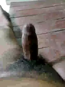 rodhathor Webcamshow