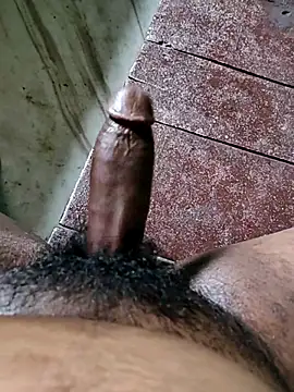 rodhathor 웹캠 쇼