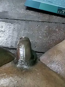 Show de webcam de rodhathor