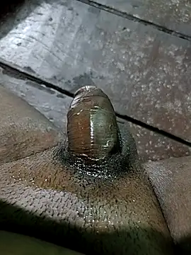 Show de rodhathor na webcam