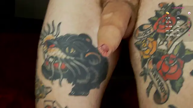 Tommy_catのウェブカメラショー