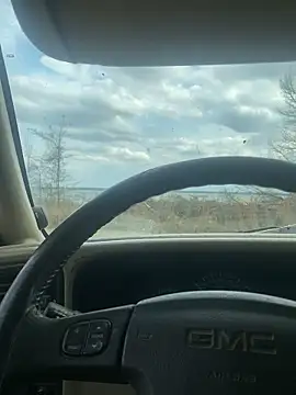 Themechanic420 Pertunjukan Webcam