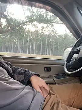 Webkamerová show Themechanic420