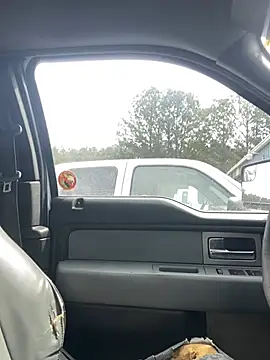 Webkamerová show Themechanic420