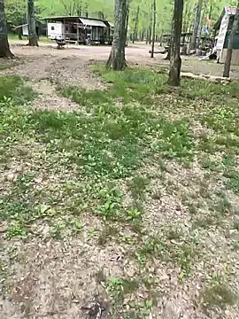 Themechanic420 Webcam Show