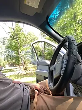 Webkamerová show Themechanic420