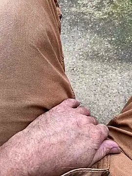 Themechanic420 Webcam-Show