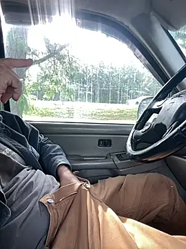 Themechanic420's Webcam Show