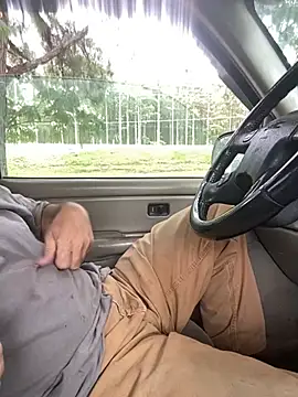Themechanic420n Webbikameraesitys