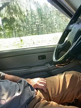 Show webcam de Themechanic420